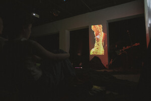 documentation of the Migrart Residence, part 2
