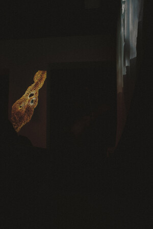 documentation of the Migrart Residence, part 2